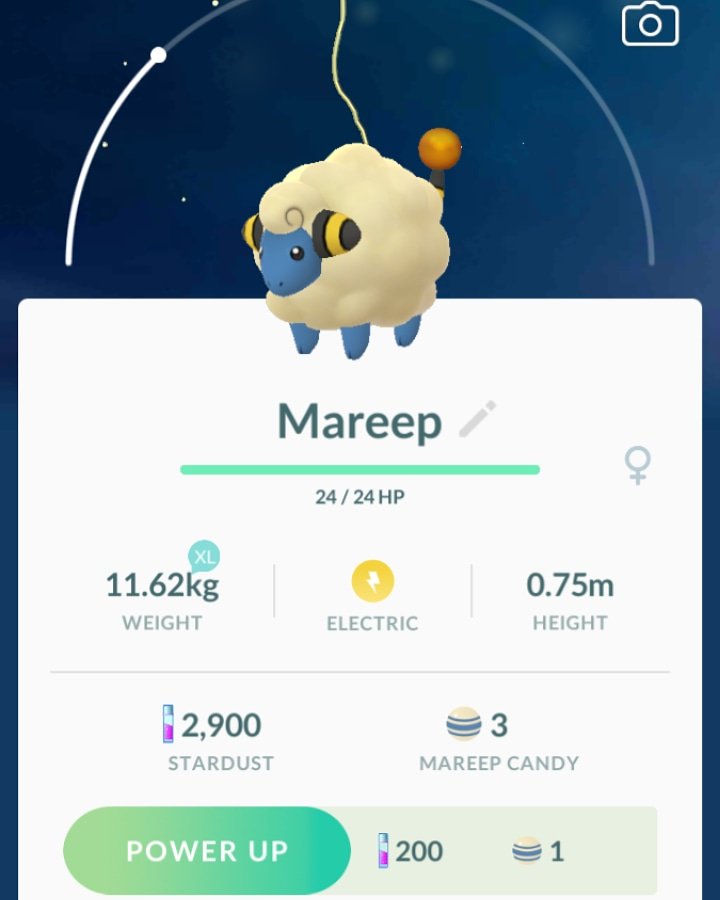 Lexie Treguboff tweet media