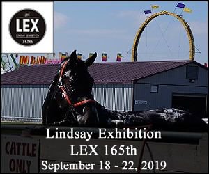 FestivalNomadCA's tweet photo. #LEX 32nd Annual Craft Sale &amp; Show Come Explore Wed Aug 7, 2019 #LEX Fairgrounds #Summer Circuit Aug 9-11 over 250 competitors @OntarioQuarterHorseAssoc @onequestrian SAVE THE DATE 165TH #LEX Sept 18-22 #LEX Fairgrounds @LindsayExhibition @Lindsay_Ex @ExploreKL @kawarthalakes https://t.co/OvsJpPevm1