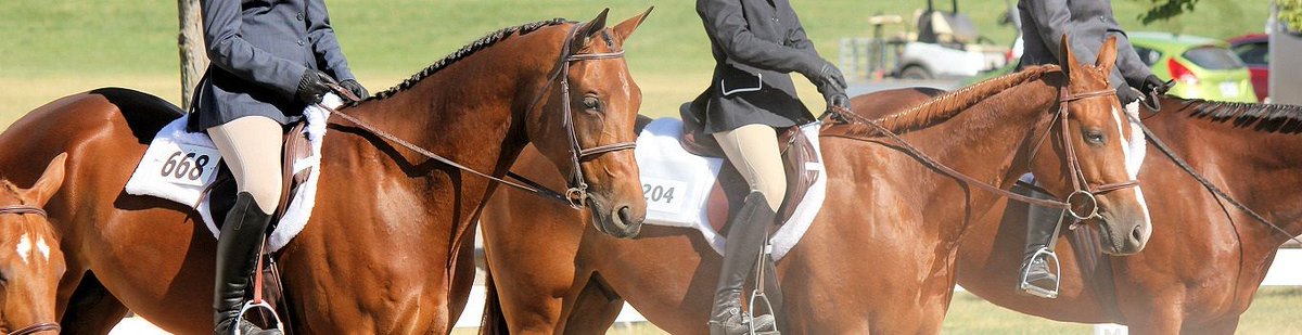 FestivalNomadCA's tweet photo. #LEX 32nd Annual Craft Sale &amp; Show Come Explore Wed Aug 7, 2019 #LEX Fairgrounds #Summer Circuit Aug 9-11 over 250 competitors @OntarioQuarterHorseAssoc @onequestrian SAVE THE DATE 165TH #LEX Sept 18-22 #LEX Fairgrounds @LindsayExhibition @Lindsay_Ex @ExploreKL @kawarthalakes https://t.co/OvsJpPevm1