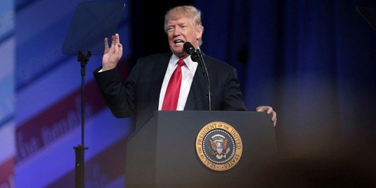 .<a href="/leswhittington/">Les Whittington</a>: The Trump nightmare hits full stride #cdnpoli bit.ly/2M8XGGB (subs)