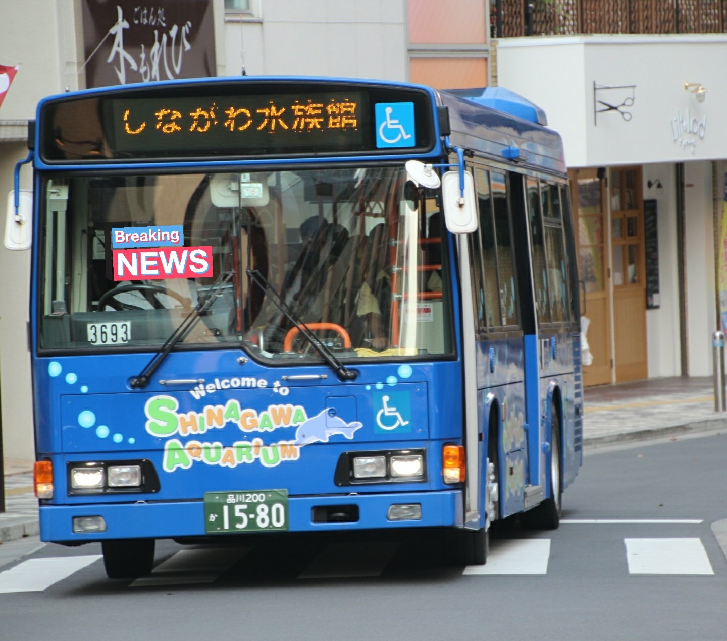 キタジマ V Twitter 7 24 京浜急行バス Tm3693 大森 しながわ水族館送迎 東急バス I1442 池上 井 大井競馬場送迎 M8735 目黒 渋41 渋谷駅 キタジマ撮影記 キタジマ V Twitter 7 24 京浜急行バス Tm3693 大森 しながわ水族館送迎 東急バス I1442 池上 井 大井競馬場送迎 M8735 目黒 渋41 渋谷駅 キタジマ撮影記