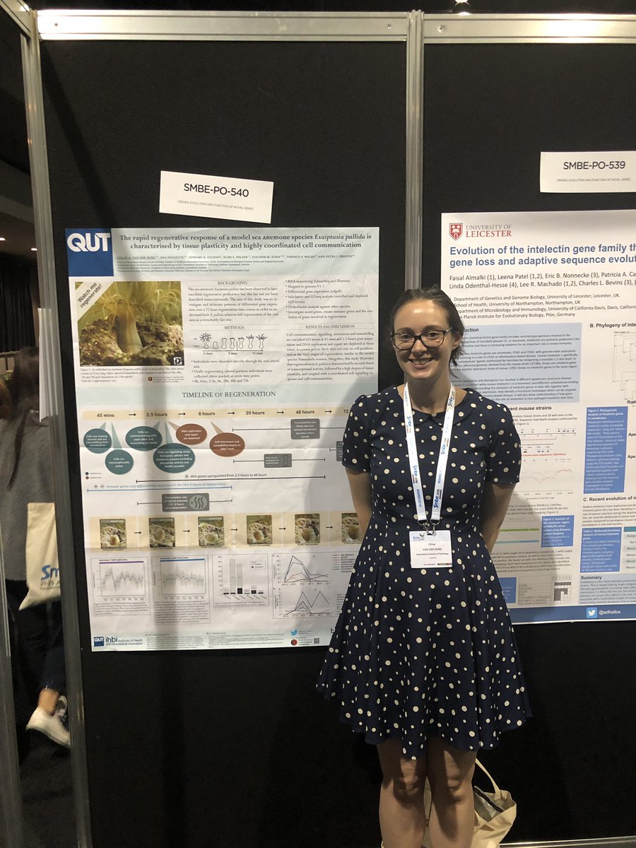 Presenting my work on regeneration in Exaiptasia pallida at #SMBE2019. Find my biorxiv preprint at biorxiv.org/content/10.110…