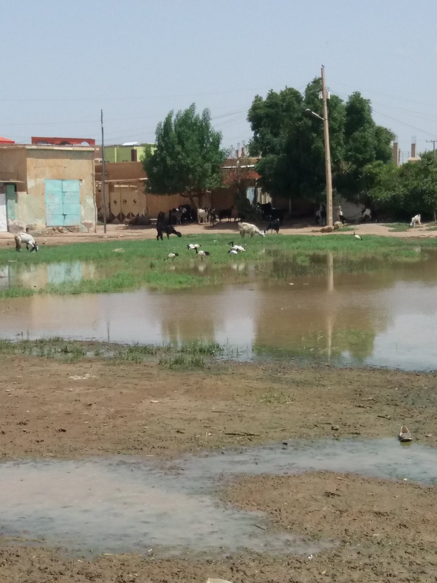 والذي نفسه بغير جمال لايري في الوجود شي جميلا