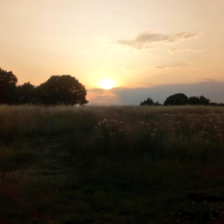 runwithandy's tweet image. ☝️When you are unable to lead a #Trailwalk but your attendees carry on! 5 miles done!😎👍🧡🚶‍♂️🚶‍♀️🛤🏜 #runwithandy #fun #brent #tuesdaythoughts #walkies #fitness2me #naturesgym #happytrails #consistency #london #runr #sunset #runtogether #brent2020 #happytrails #july #shokzsquaduk