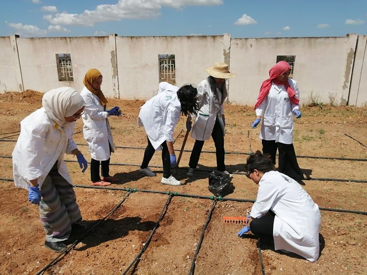 lbvbgr's tweet photo. #Team_work #BVBGR_Team #MADFORWATER @madforwater @lbvbgr  #H2020 aménagement parcelle #agricole #Système d'irrigation contrôlé #PGPR #Agriculture_biologique #recherche_scientifique
RDV pour un autre lundi d’une chercheuse BVBGR. https://t.co/TnMb1A6EEC