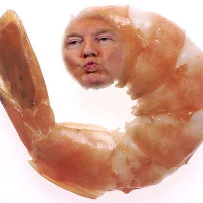 MarcoWebDevATC1's tweet photo. Lol Trimp good one #Mueller https://t.co/z3iAlC35DO