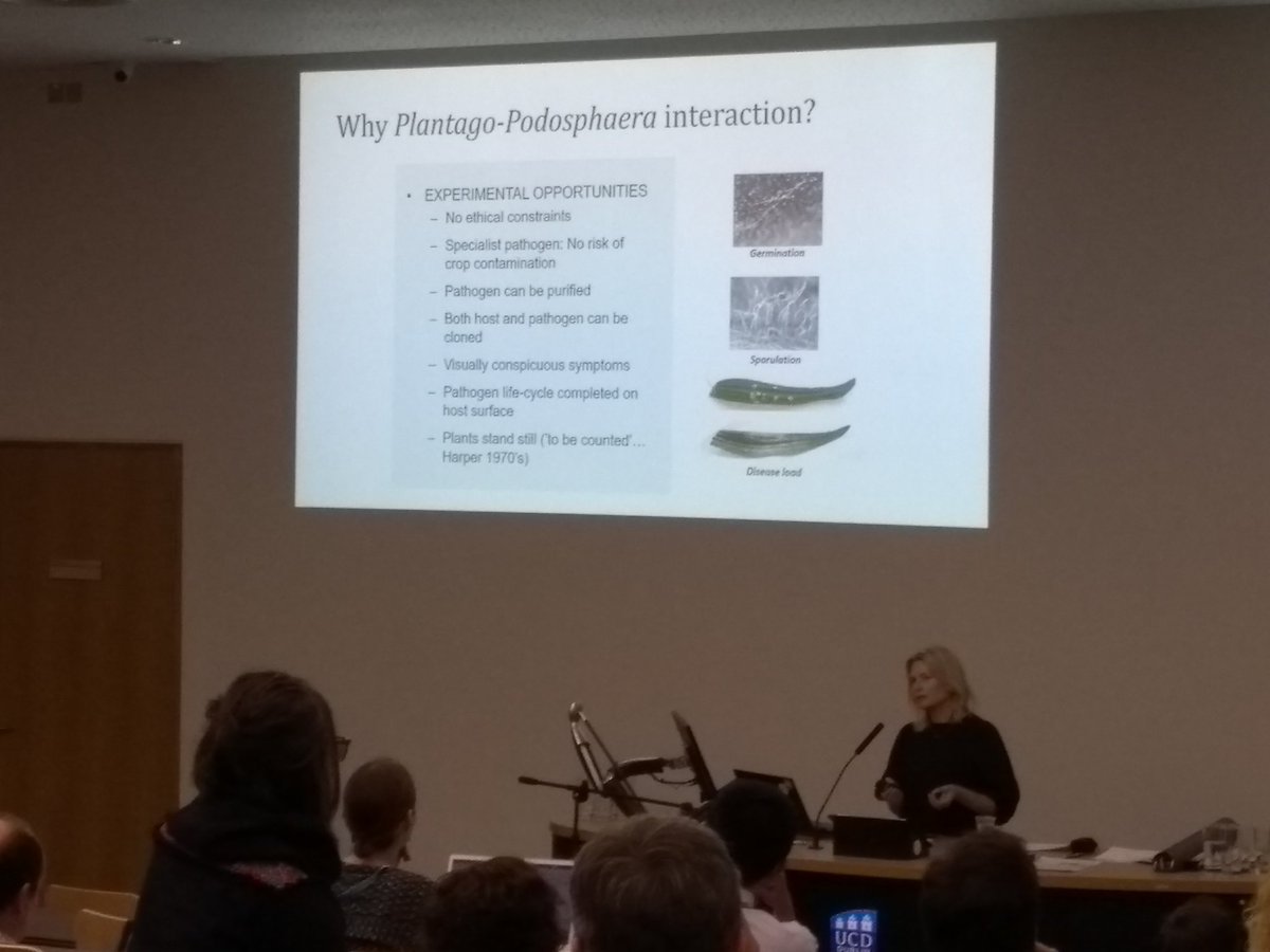 UCDflowerpower's tweet photo. Lots of good arguments for working with plants by @annaliisalaine:
Not ethical restrictions, you can clone them, they don't run away.
#npnextgen https://t.co/NMtOcQ9gYf