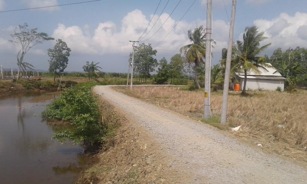 faih_ya's tweet image. Dusun Purwosari Desa #Babakan Kawunganten Cilacap
DD Tahap 1 Tahun 2019