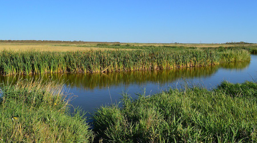 ALX prospecting at Argo uranium project in Saskatchewan mining.com/alx-prospectin…