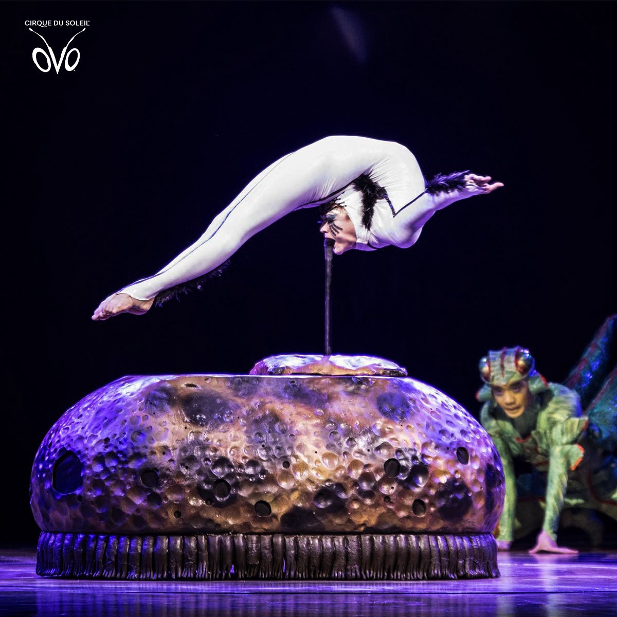 CirqueSoleilCL's tweet photo. 🌞¡IMPRESIONANTE! 🌞
En #CirqueDuSoleil actualmente la contorsionista Aruna es la única que puede realizar “La Curva de Marinelli”, que es una forma de postura donde la persona soporta todo su peso corporal con la mandíbula, mientras apoya su cuerpo sobre su propia cabeza 😱 https://t.co/XJkZBzrkOH