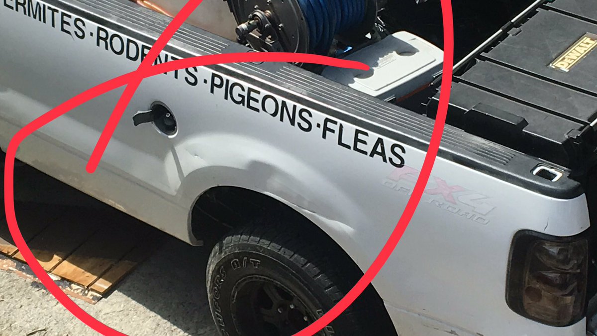 LaNiccolo's tweet photo. Pigeons.. WTF! 😂. @NOLAnews @LaNiccolo @comicref https://t.co/fdyfTyRLSJ