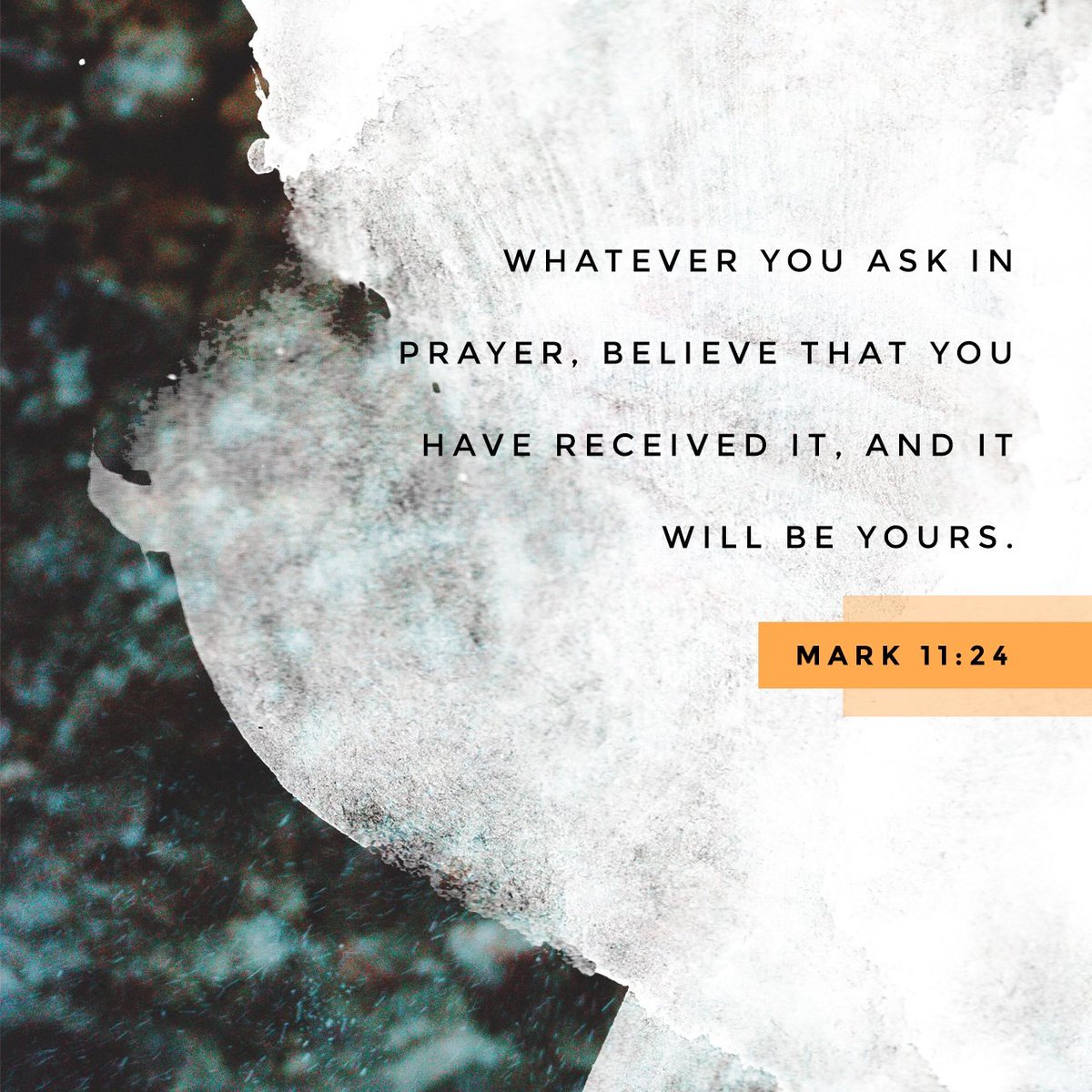 MrsCarolNedd's tweet photo. Therefore I say unto you, What things soever ye desire, when ye pray, believe that ye rec…
https://t.co/vmeEHYVJ7R https://t.co/7qFN5vfkOK