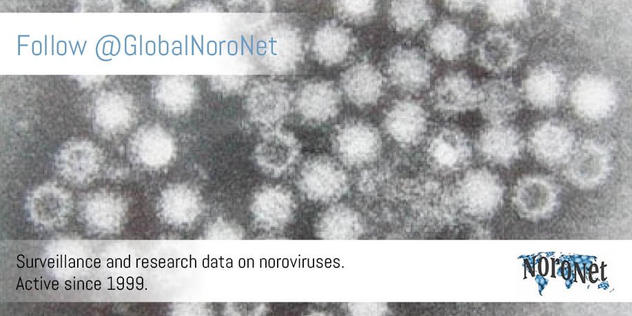 GlobalNoroNet tweet media