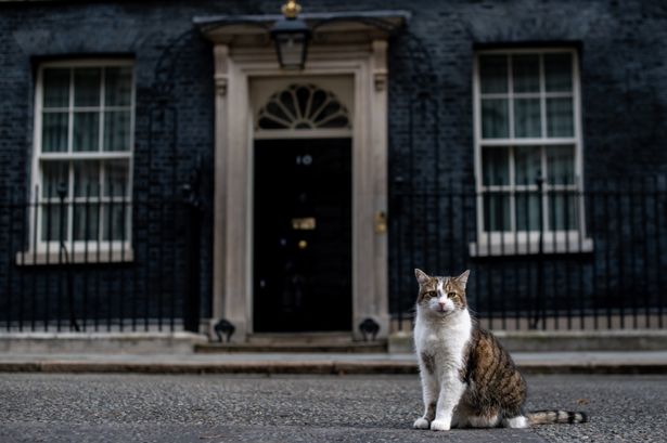 haveigotnews's tweet photo. As May/Boris transition briefly leaves us without a Prime Minister, UK’s temporary leader holds the fort: https://t.co/KIFWnmB1GG