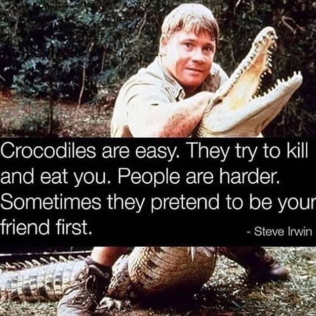 I'll just leave this here. 🐊
 
You can access my courses here ➡️ buff.ly/2Y6TePh

#mindset #startup #success
