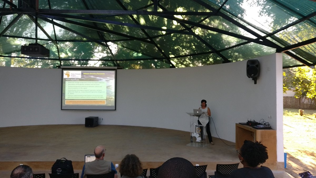 paleo_group's tweet photo. After phenotypic diversity earlier, now we hear about the genetics of the Gorongosa baboons from Maria Joana Ferreira Silva #WGGorongosa @GorongosaPark @carvalhoprimate https://t.co/uAvkDRsumI