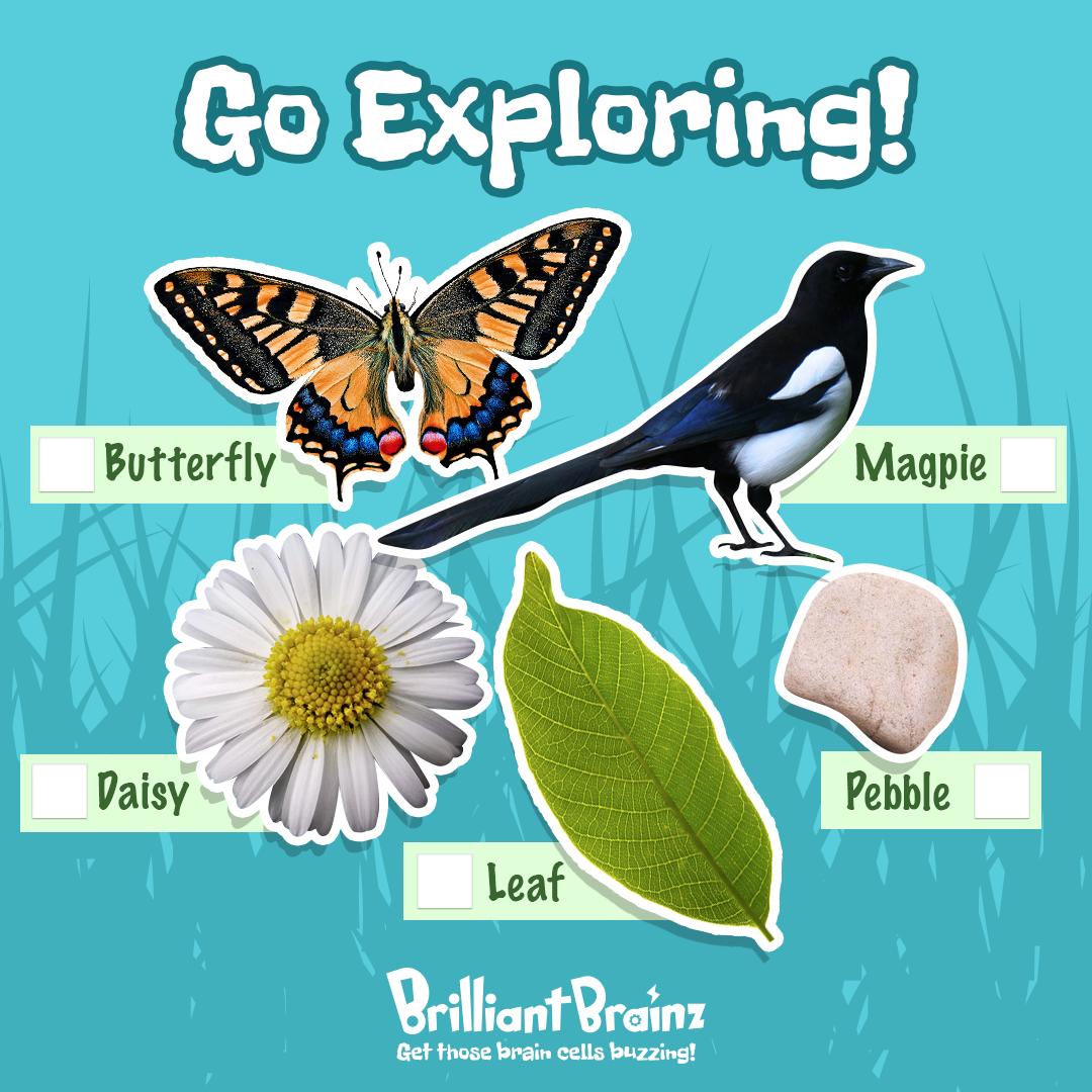 BBrainzMag's tweet photo. Summer is the best time of year to go exploring in your garden or local park! Take this checklist with you and see what you can find!

#BrilliantBrainz #Adventure #Garden #SummerChecklist https://t.co/uFGCMmVw1q