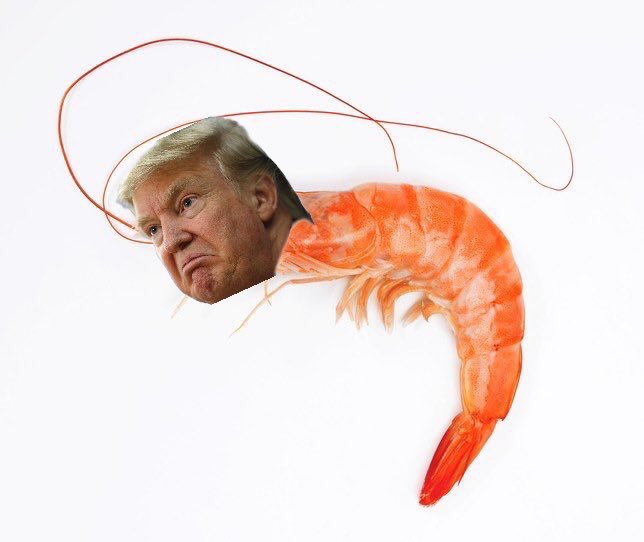DavidLeavitt's tweet image. Bob Mueller called the President “Trimp,” which is a rare breed of brainless shrimp.
