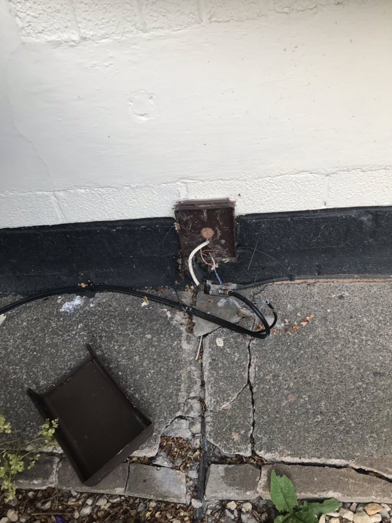 amie chatwin tweet media