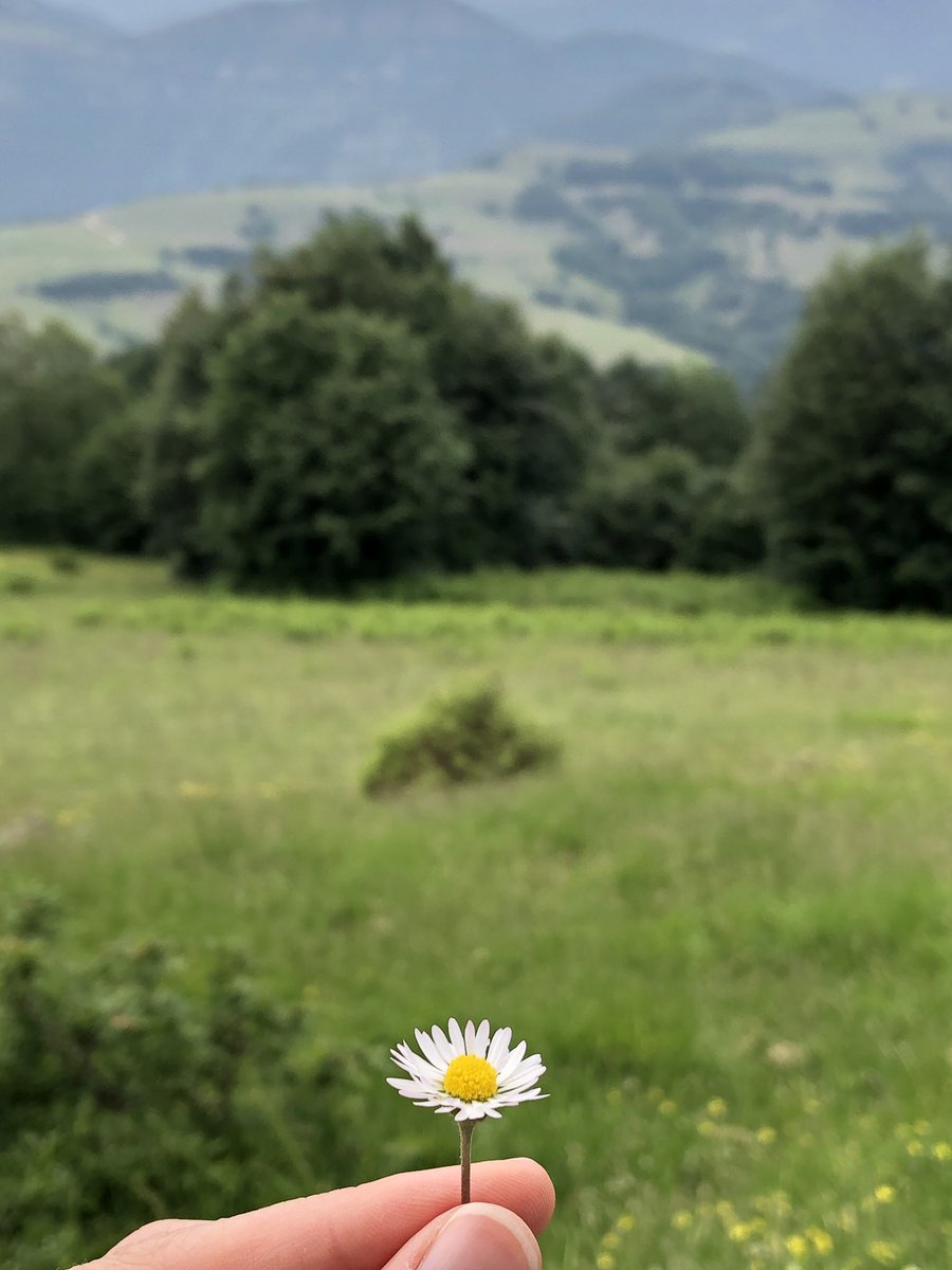 Hakikat aramakla bulunmaz ancak bulanlar hep arayanlardır.