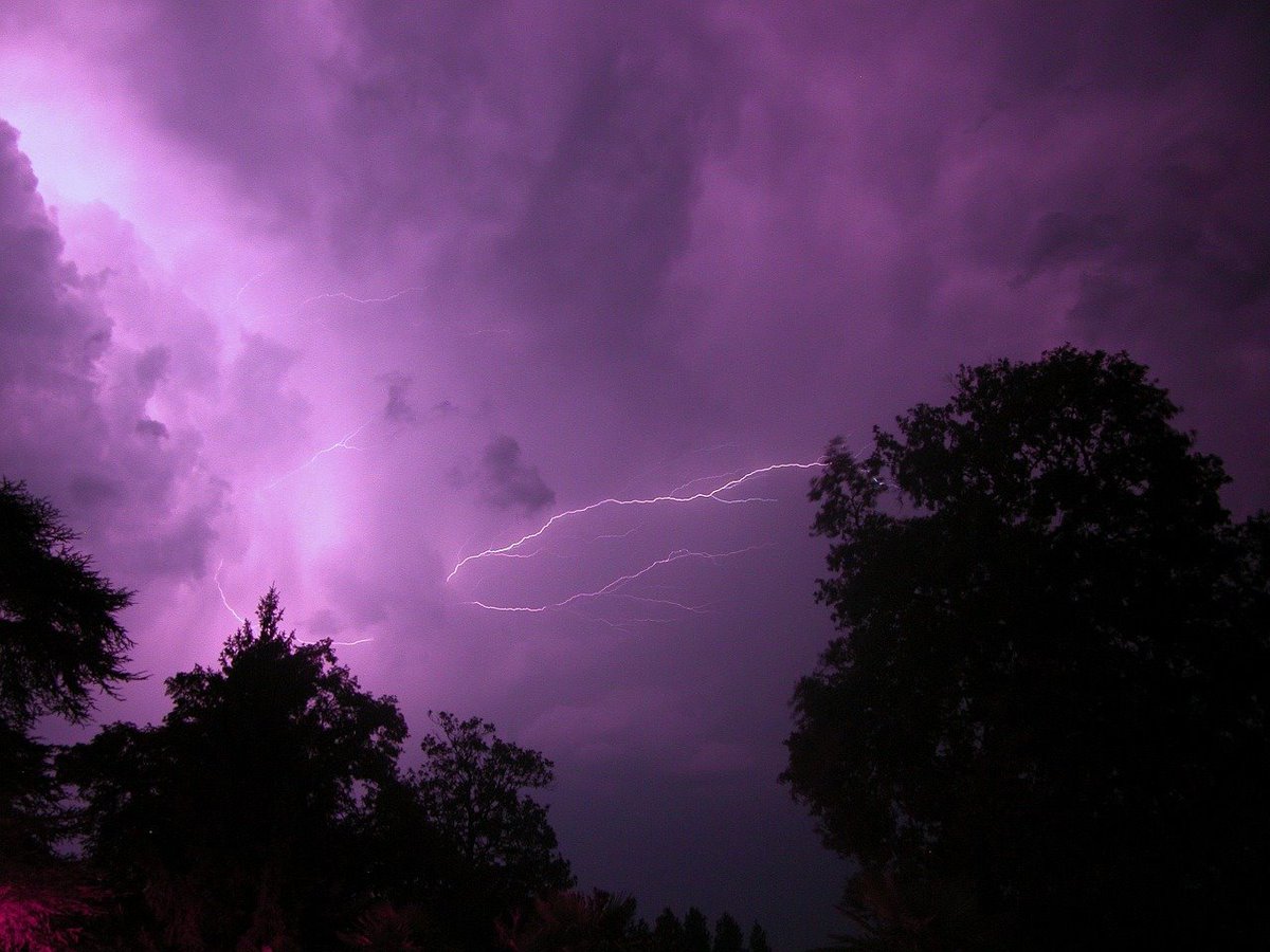 Today's #HaikuChallenge

a #force of nature
electrostatic discharge -
the forest trembles

#ForceOfNature #forest #nature #Weather #senryu #micropoetry #haiku #modernhaiku @StormHour @EarthandClouds #storm #storms #lightning #LightningStorm #LightningStrikes #poetry #writing