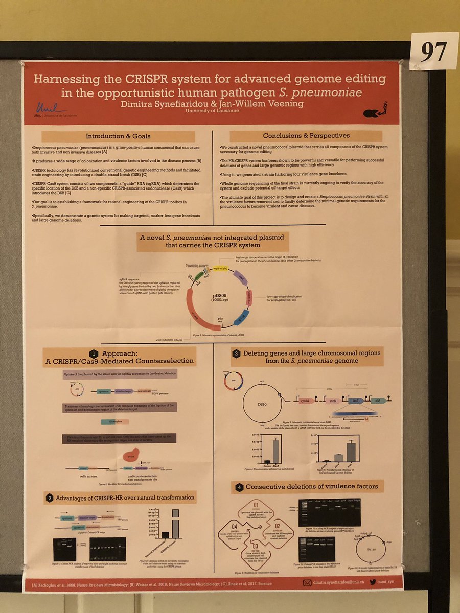 Excited to participate in the #GramPos2019 conference! Check out my poster #poster97! We are using #CRISPR for genome editing in #pneunococcus with <a href="/JWVeening/">Jan-Willem Veening</a> #veeninglab