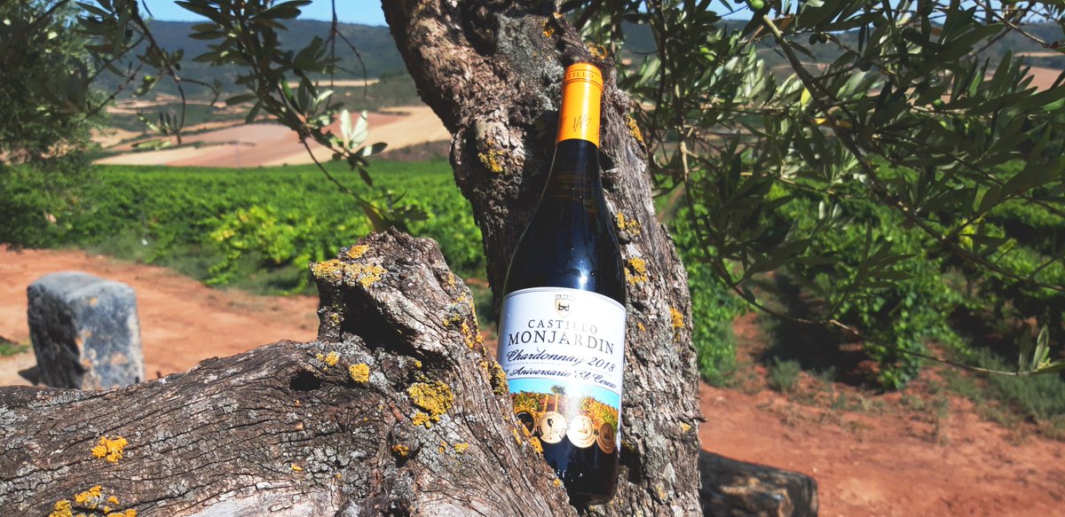 Hay muchas maneras de pasar este calor... Chardonnay frío Mejor Blanco de Navarra 2019
#chardonnay #spanishwine #vinoblanco #verano2019 #mejorvinoblanco #spanishwinelovers #winemakers #vinodenavarra