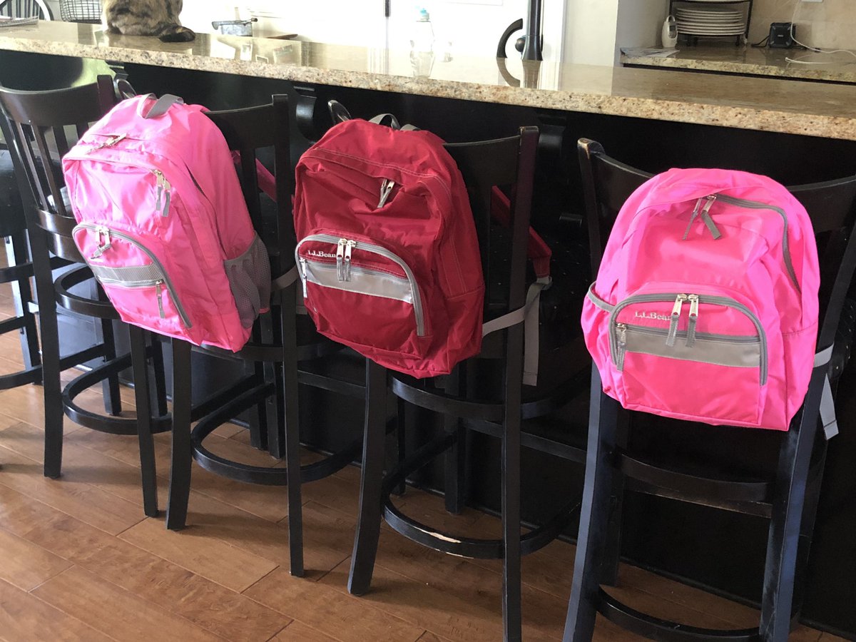 SaraBethBrown03's tweet photo. Loving their new backpacks from @LLBean!  Life with 3 means we own a junior, original, and deluxe! Now to shop for supplies... https://t.co/wMZ1WZ5N2r