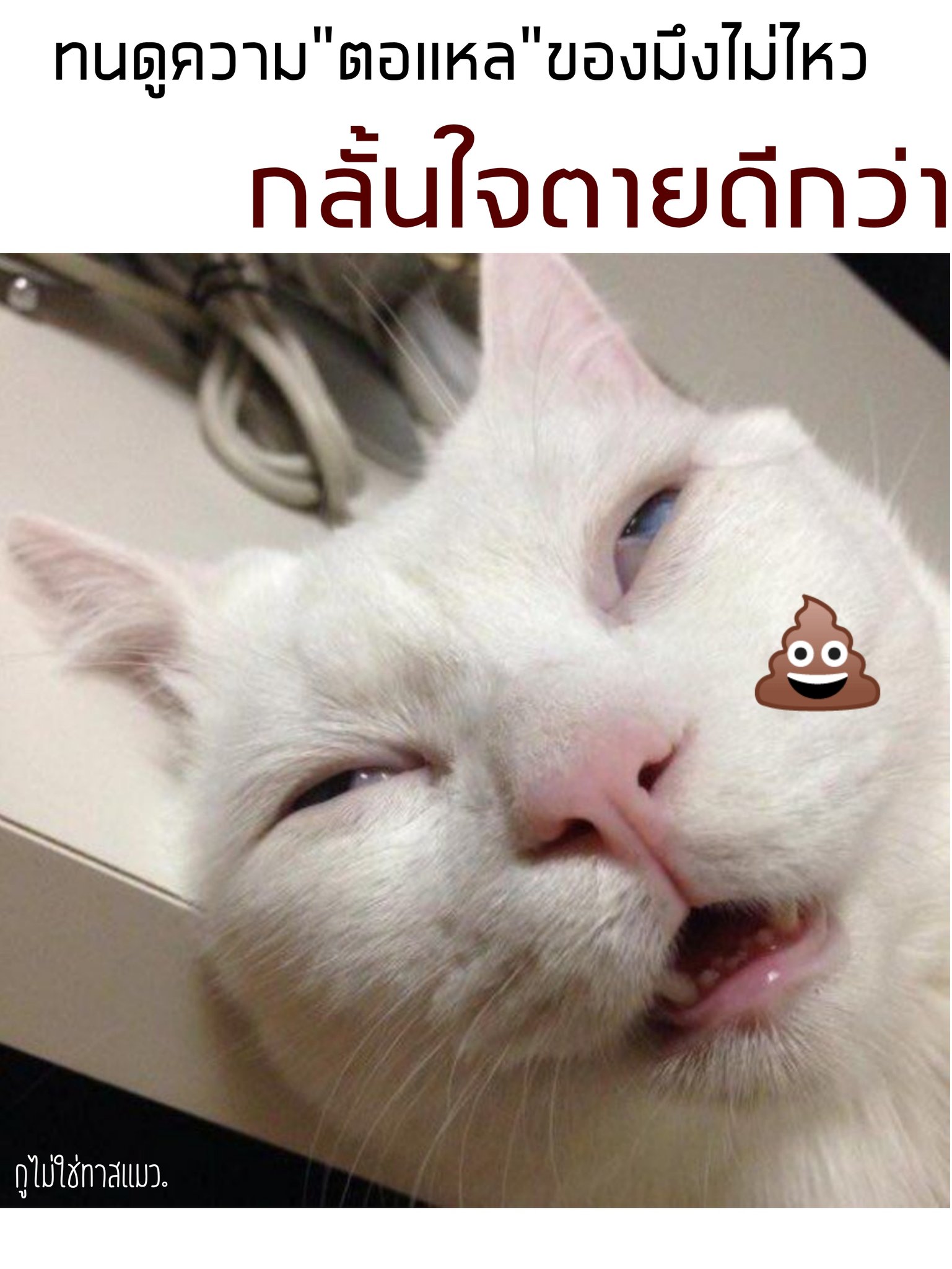 รูปภาพ คำคม ตลก: โลกแห่งความสนุกสนาน - Thocahouse.vn รูปภาพ คำคม ตลก: โลกแห่งความสนุกสนาน - Thocahouse.Vn