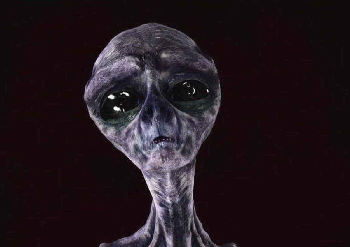 area51meme's tweet photo. What song puts you in this mood?

#Area51 #Area51meme #Area51storm #area51massacre #area51raiddate #area51eaid #area51raif https://t.co/GYjLJFhNy8