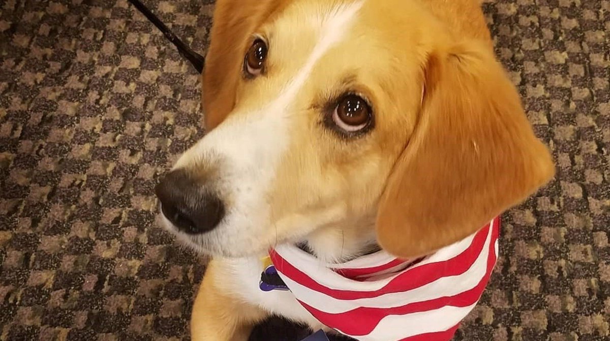 leadchangegroup's tweet image. "While asking questions, be sure to observe behaviors as well. You learn so much about people when you watch their mannerisms." - @danised on how to assess the unknown in 3 easy steps #leadchange buff.ly/2M7SQJN