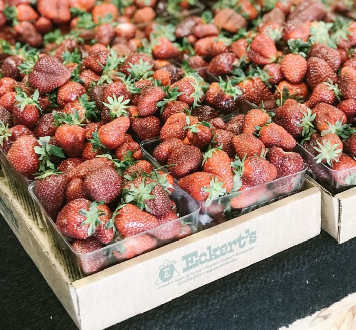 Share Lex Kentucky tweet media