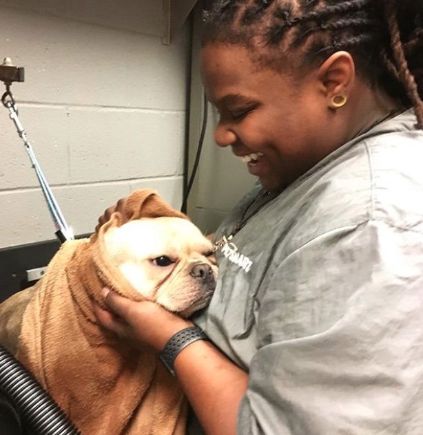 Rub a dub dub, cute pup in a tub. 🚿😍 Discover a career that loves you back, join our <a href="/petsmart/">PetSmart</a> team as a bather! #LifeatPetSmart
📸: IG petsmart1076