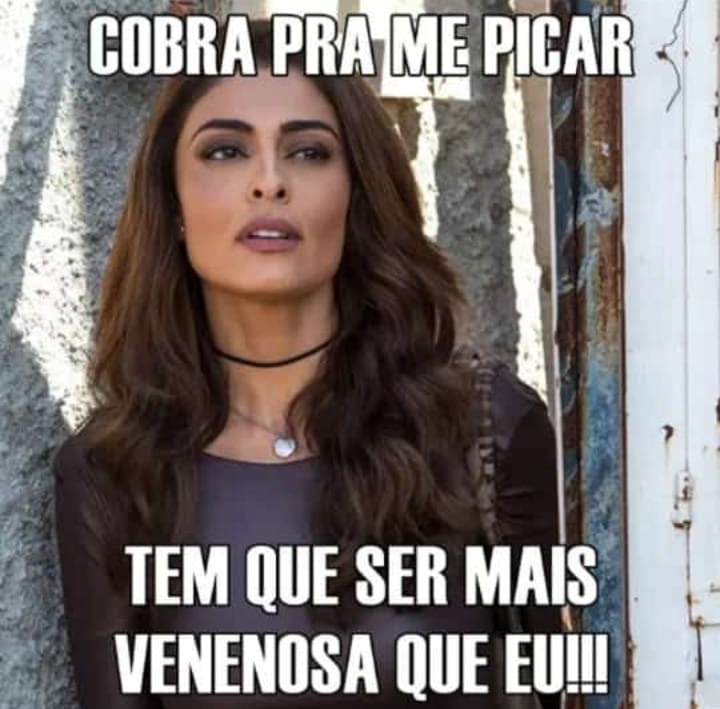 GeorgeRochadeS1's tweet photo. Quem mexe com gato leva arranhada https://t.co/3hZd6OKIX4