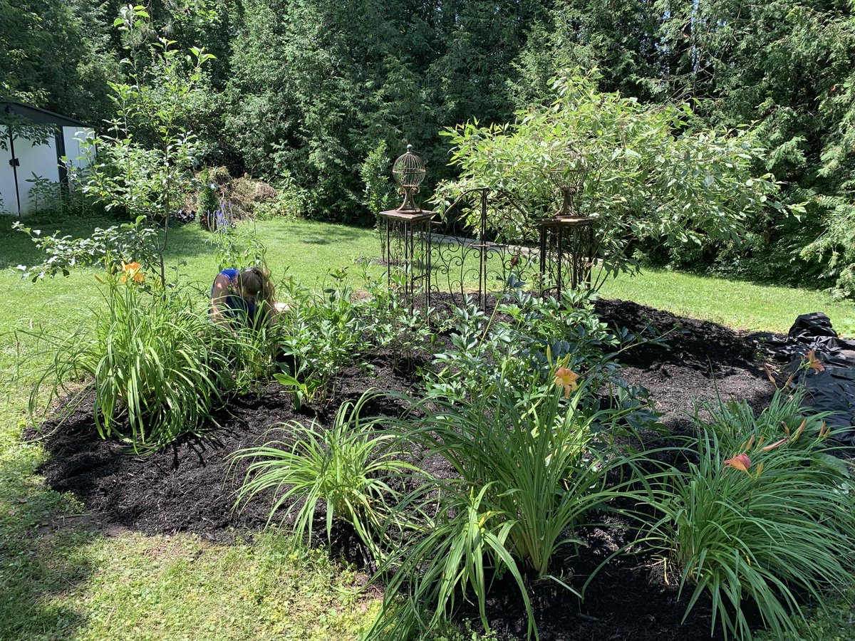 FirstResponseLS's tweet image. Believe it or not this is a before and after picture of a decent garden project we did. #magic #transformation