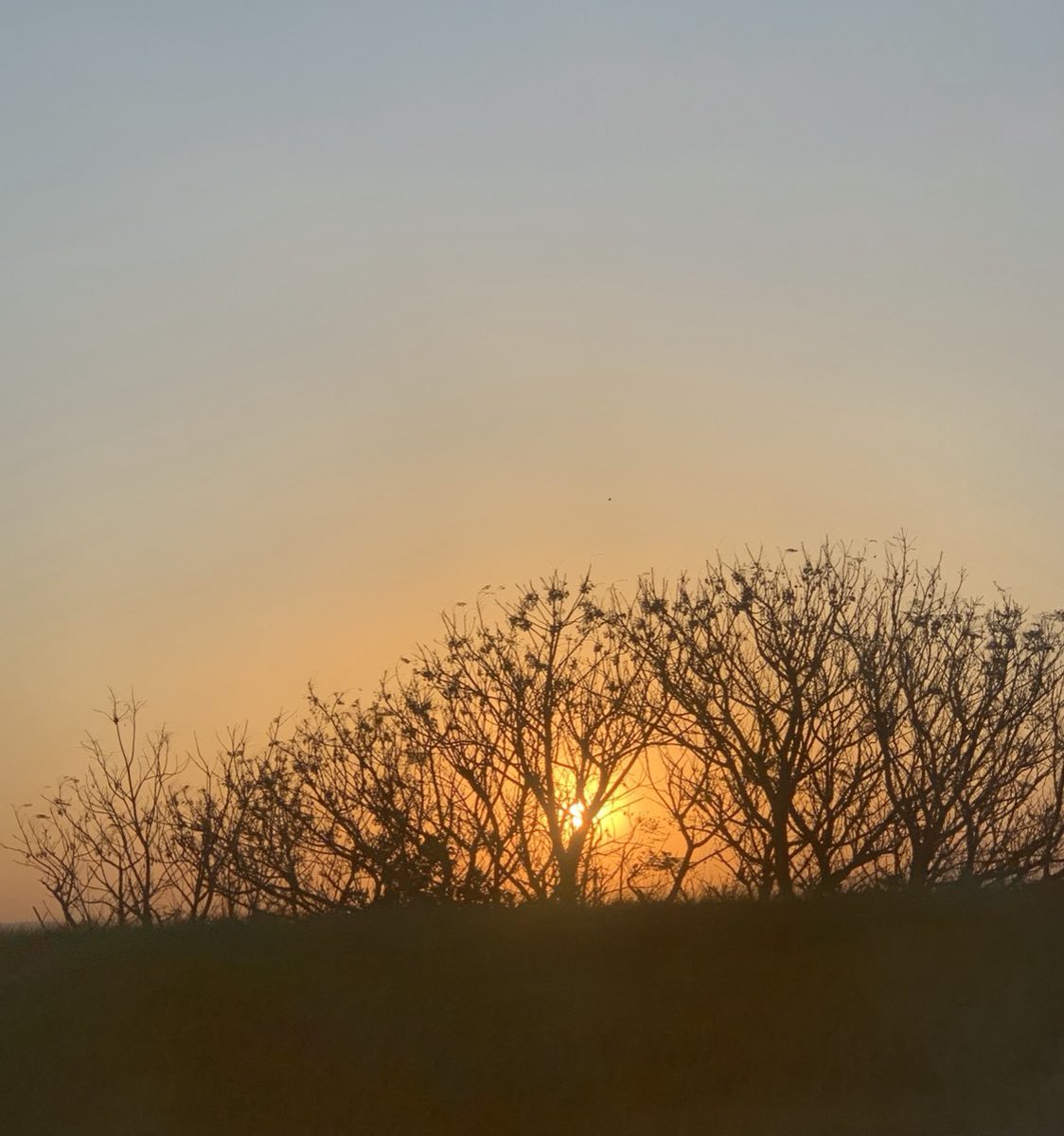 ghausiyaaa's tweet photo. African sunsets ♥️ https://t.co/4pqON7Px8Q