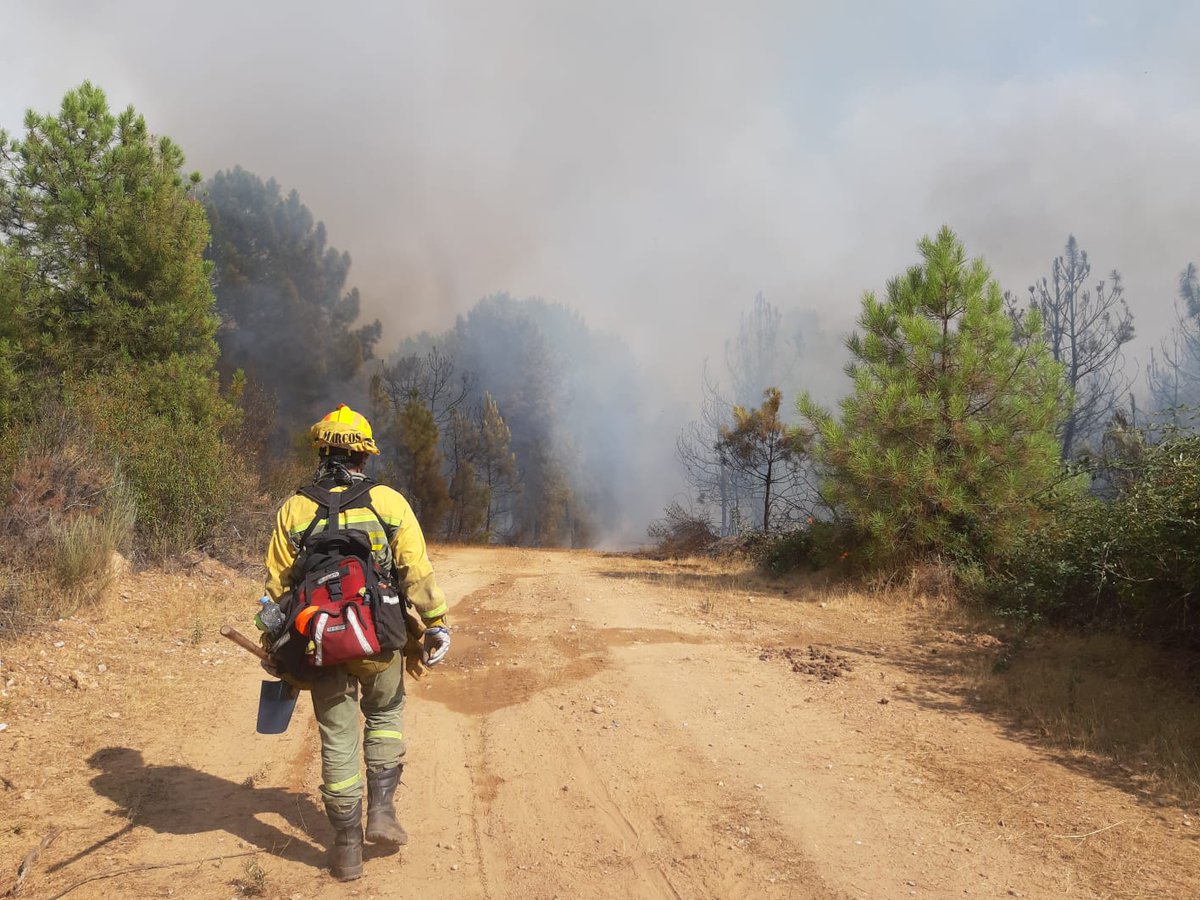18:17📷 #IFPoyalesDelHoyo #Ávila
Cuando todo el mundo huye de un incendio forestal,los medios de extinción entramos!
Para salvar nuestro patrimonio natural,el de todos!
<a href="/brif_iglesuela/">BRIF La Iglesuela</a> + <a href="/brifpuertopico/">BRIF Puerto el Pico</a> trabajan en la extinción del incendio de Poyales junto a medios #PlanINFOCAL