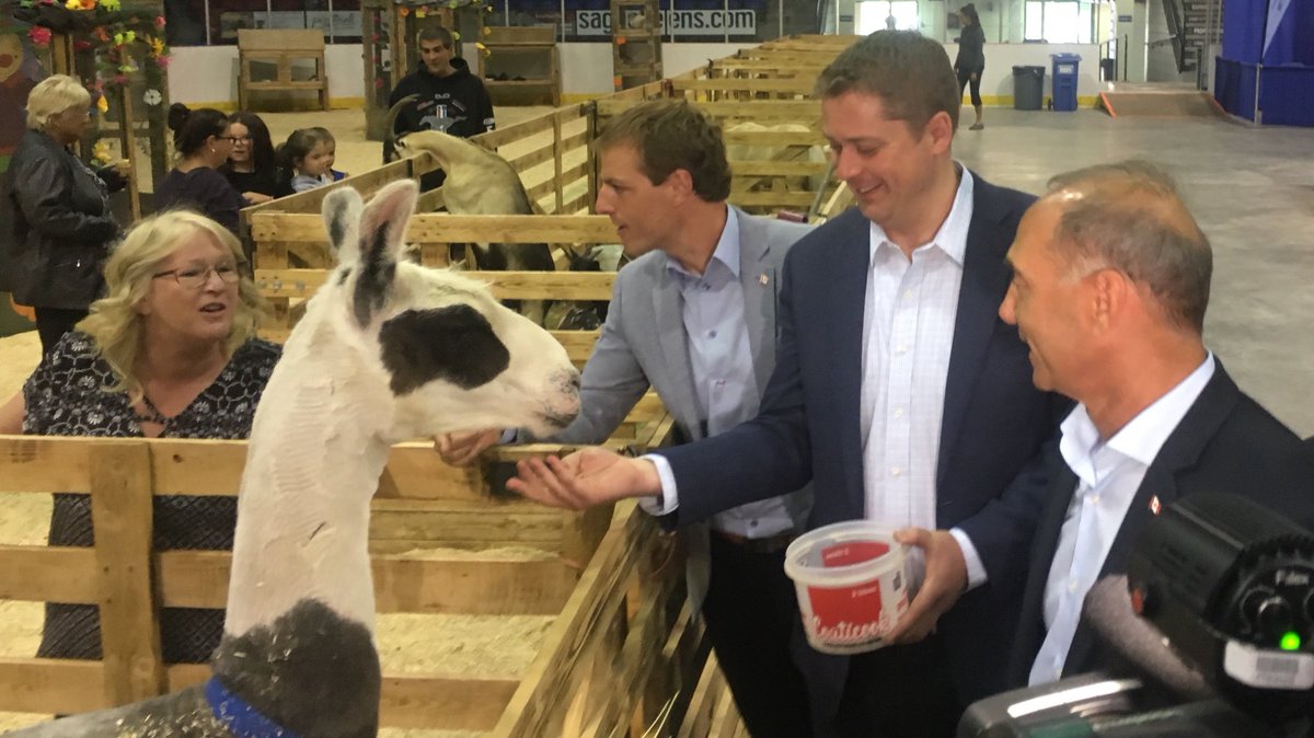 Le chef conservateur Andrew Sheer est en visite à L’Expo agricole de Chicoutimi. #rcsag