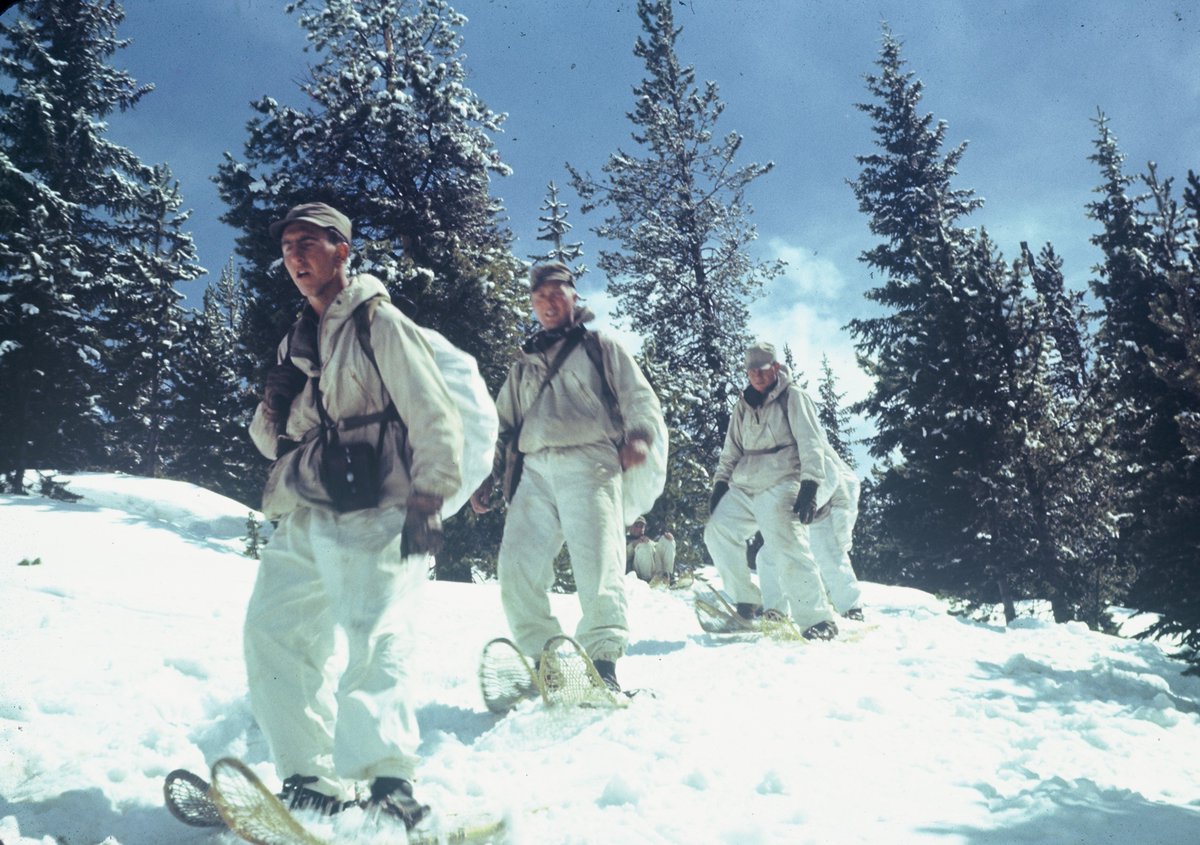 While training at #CampHale, the #10thMountainDivision pioneered critical winter warfare techniques & equipment. Carrying up to 90 lbs. of gear, soldiers skied up to 20 miles per day. They learned to snowshoe, rock climb and navigate every type of terrain.

#WorldWarIIWednesday