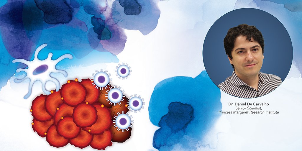 pmcancercentre's tweet photo. Dr. Daniel De Carvalho &amp; team have published important research about how genes involved in the extracellular matrix are affected by cancer. This work contributes to our understanding of how to further personalize treatment for patients based on their genetic or molecular profile https://t.co/ynDDzLTBgF