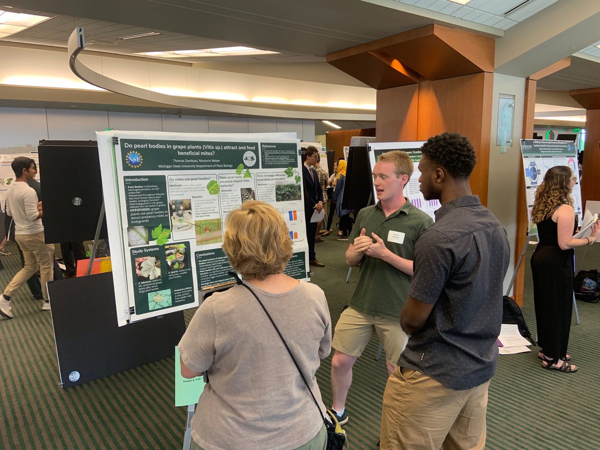 plantgenmsu's tweet photo. Plant genomics @ MSU #reu students presenting their summer research at the #midsure symposium today at spartan stadium- come one and all https://t.co/R1U5tC8vtj