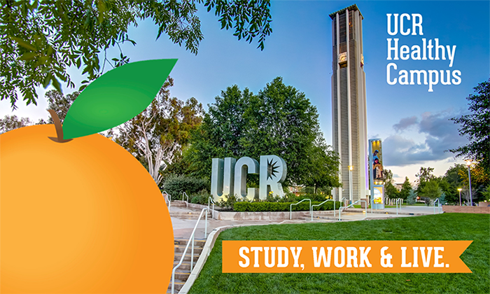 UCR has an open position for a part-time Wellness Program Specialist, who will provide support to the campus wellness programs for UCR faculty and staff.   Details: bit.ly/2Ma7oZt

#UCR #UCRJobs #WellnessJobs #UCJobs #PartTimeJobs #HealthyCampus #Wellness