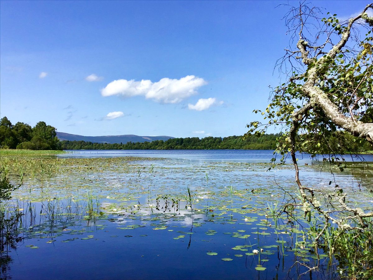 Yesterday, and more from Muir of Dinnet💙#walking #hiking #nationalnaturereserves #LochKinord #LochClarack #Aberdeenshire #visitABDN