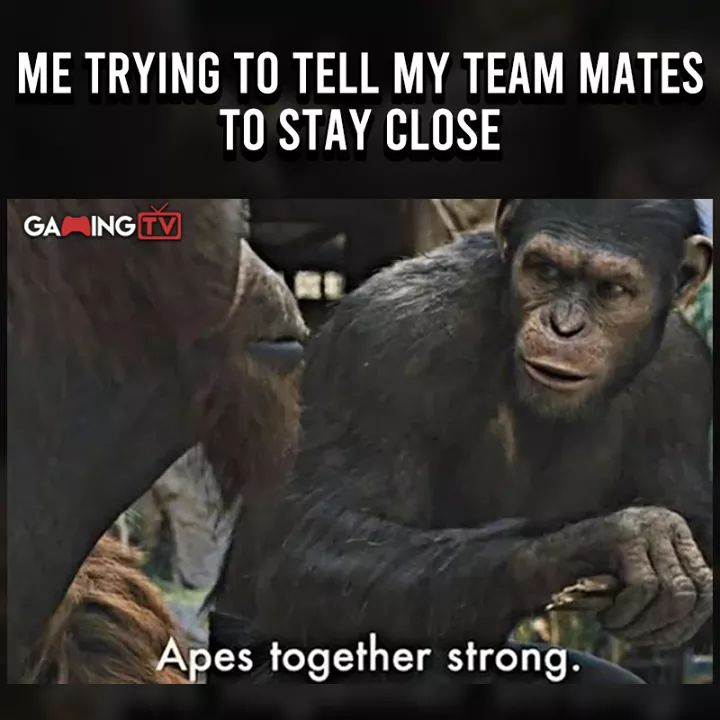 ToxicBubbleGum8's tweet image. Hahahaha omg this is to perfect!!!! #codblackout