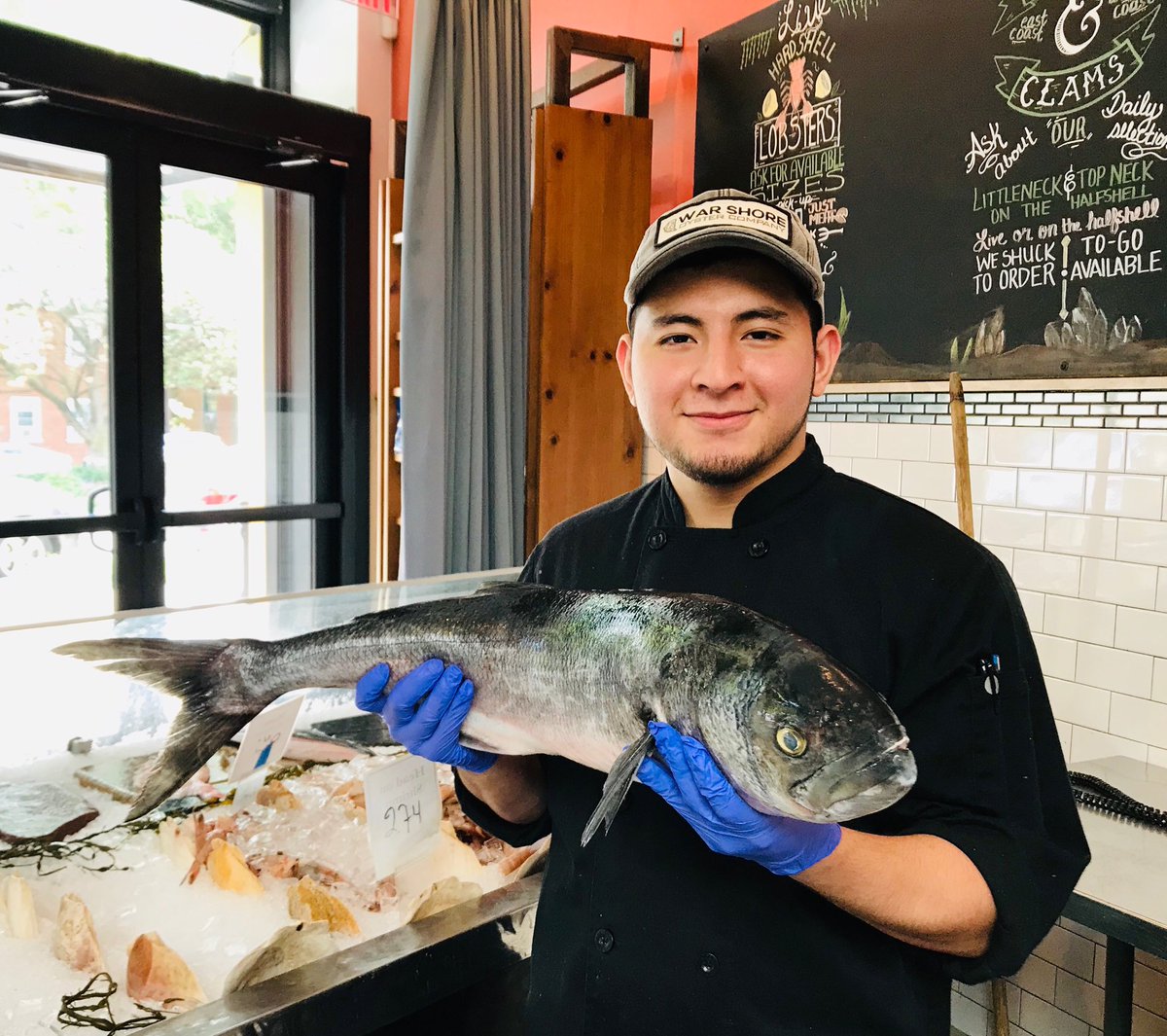 Fresh in the Market Today: Bluefish...it’s built for big flavors!