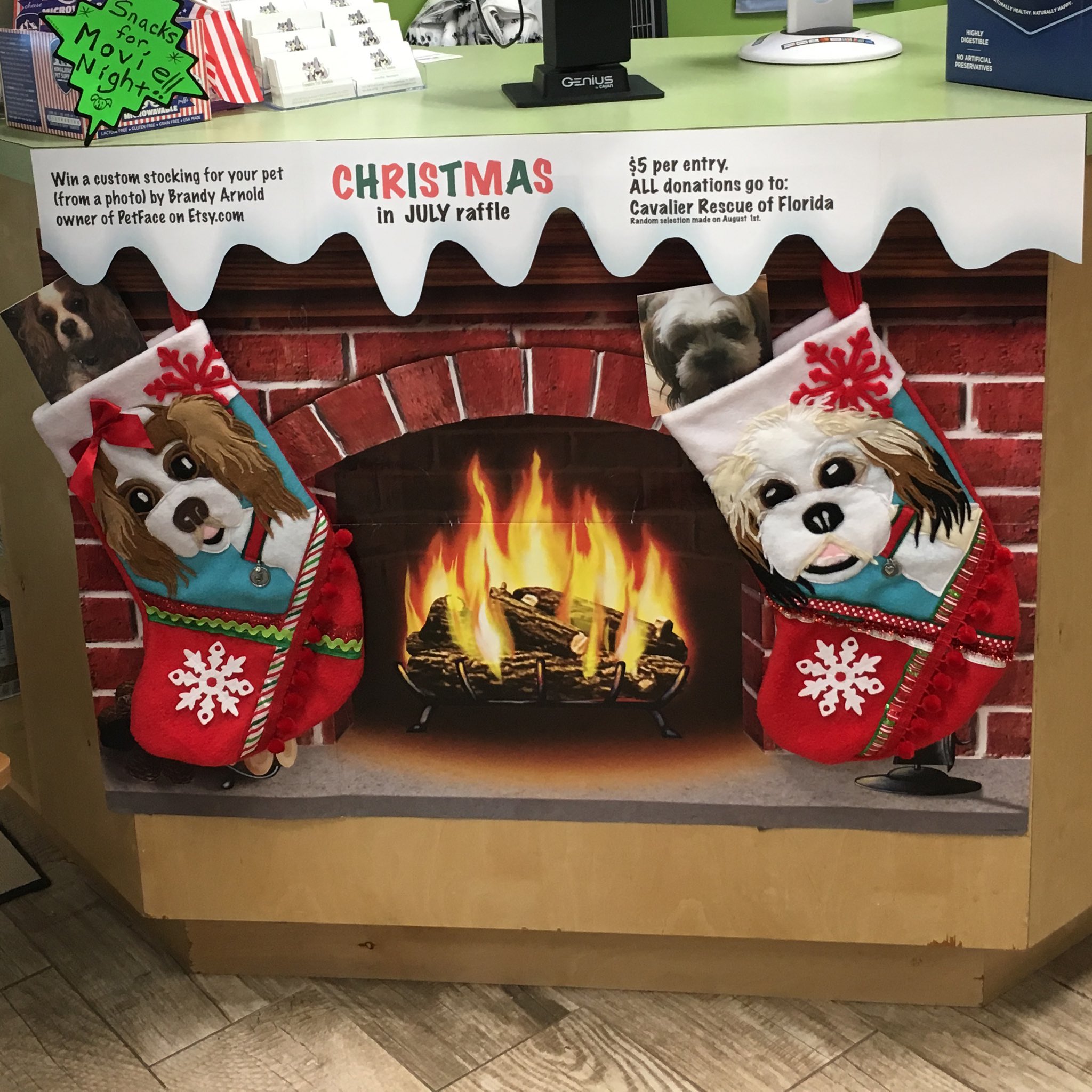 Auggies Doggies on Twitter: 