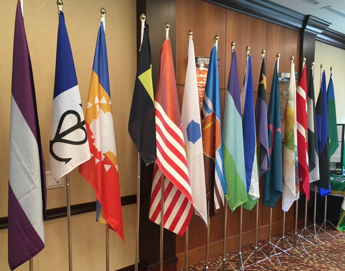 Humanity_Nation's tweet photo. Some are children of micronational leaders. A few are leaders of micronations themselves! The last 2 pics are flags of micronations who attended @MicroCon2019 in Hamilton, ON, Canada Jul 19-21. ProHumanity Nation's @Humanity_Nation flag is 5th from the right in the last photo. https://t.co/A4PboLuhtK