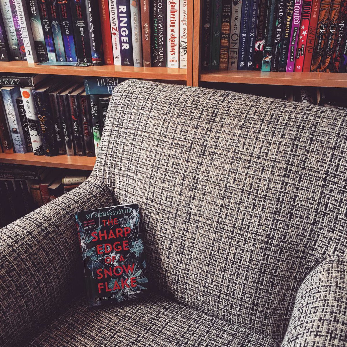 Liv3sInDelusion's tweet photo. #TheSharpEdgeOfASnowflake by @sifsigmars bookstagram tour!
My post is now live!
https://t.co/SViYbwY3qH https://t.co/7XgBFzTNIo