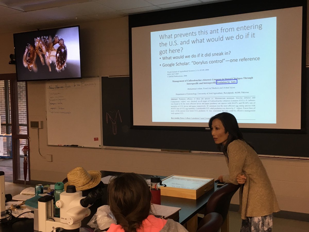Aluckymyrmex's tweet photo. Regulation is a HUGE challenge to managing #invasiveants. Dr. Faith Oi sharing firsthand knowledge of agencies involved and how they coordinate in this work. #UFBugs #invasiveantbootcamp https://t.co/Ck1TfvwDb2
