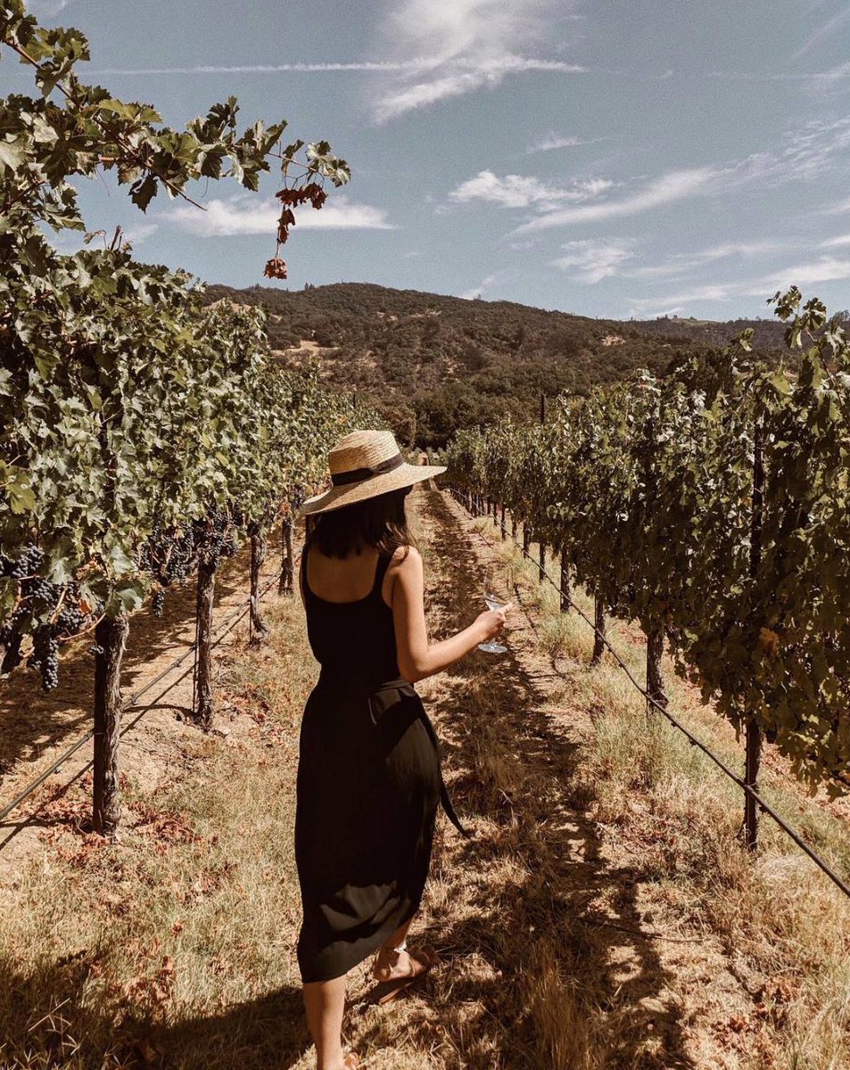 BottleRock Napa (@bottlerocknapa) on Twitter photo Run away with us this summer 🍇✨
#SonomaHarvest Music Festival returns to <a href="/BRCohn/">B.R. Cohn Winery</a> this September for two weekends of music 🎶, wine 🍷 and sunshine ☀️.
Buy tickets 🎟 >>> bit.ly/SHMF19Tix
📷: <a href="/tiffwang/">Tiffany Wang</a> Run away with us this summer 🍇✨
#SonomaHarvest Music Festival returns to <a href="/BRCohn/">B.R. Cohn Winery</a> this September for two weekends of music 🎶, wine 🍷 and sunshine ☀️.
Buy tickets 🎟 >>> bit.ly/SHMF19Tix
📷: <a href="/tiffwang/">Tiffany Wang</a>